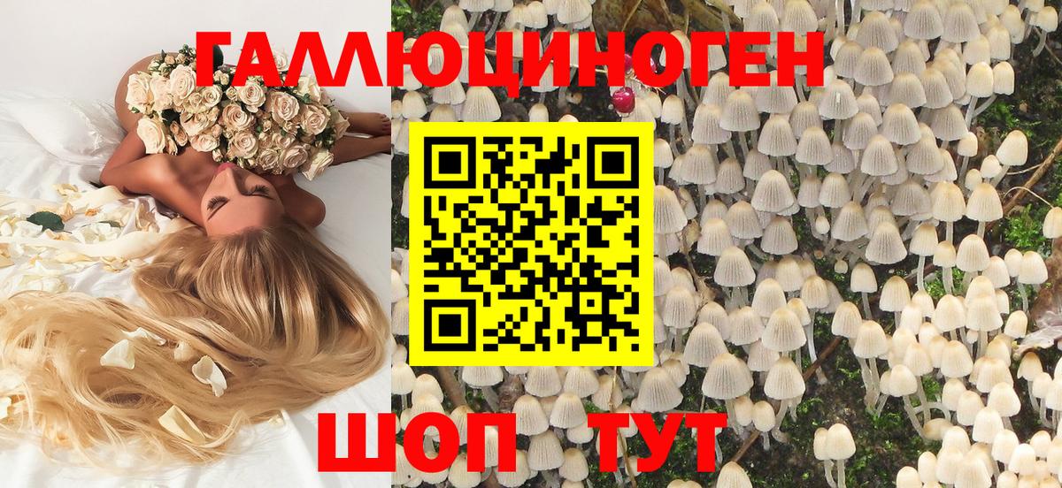 Галлюциногенные грибы GOLDEN TEACHER Котовск